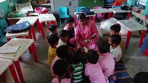 IGNOU DECE PROJECT ( DAY -12, ACTIVITY.13) Animal #short# video #