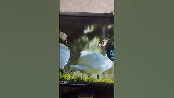 How to Register a UK LTD Company from Fiji | (PART 1 OF 4)