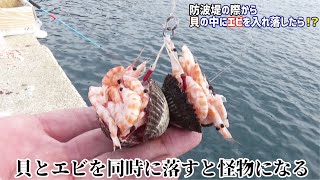 貝とエビを同時に防波堤際から落とすと怪物になった【くす玉仕掛け】