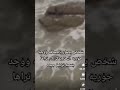 حورية البحر حقيقية حورية البحر حقيقية