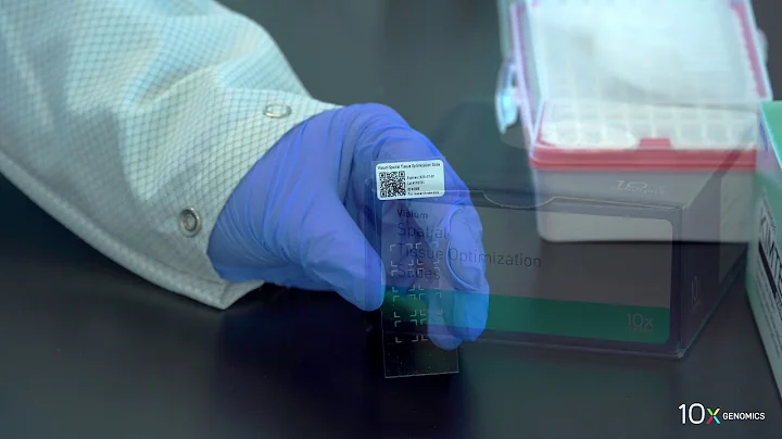 Visium Tissue Optimization Protocol | Getting Started