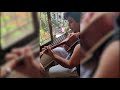 Polly Murs? Justin Squawkins? Pop musician joined by parrots as he plays