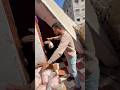 دجاج