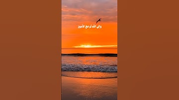 تلاوة مميزة للشيخ محمد ايوب رحمة الله