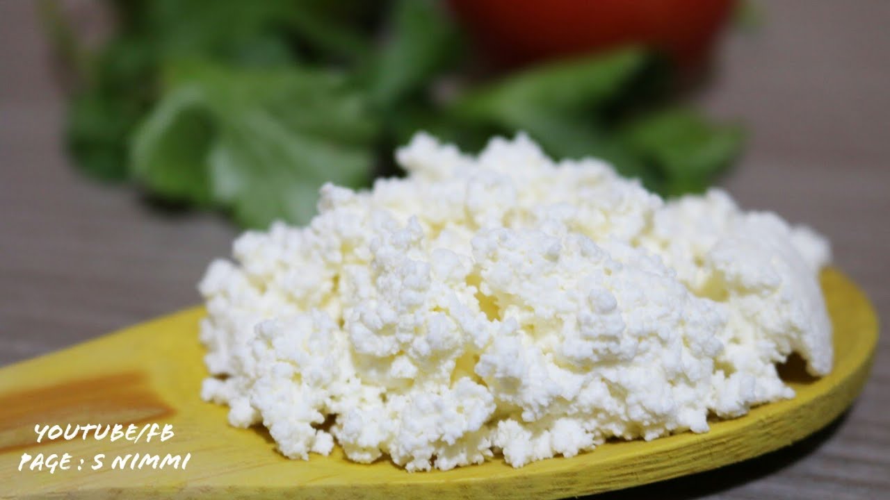 How to Make Cottage Cheese পারফেক্ট ছানা রেসিপি l Bangladeshi Chana