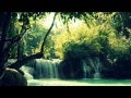 Capture de la vidéo Nicolas Dri - Au Coeur De La Vallée