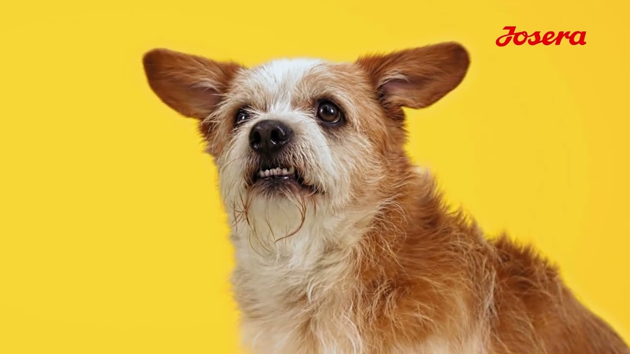 Josera Hellas | Super Premium Petfood