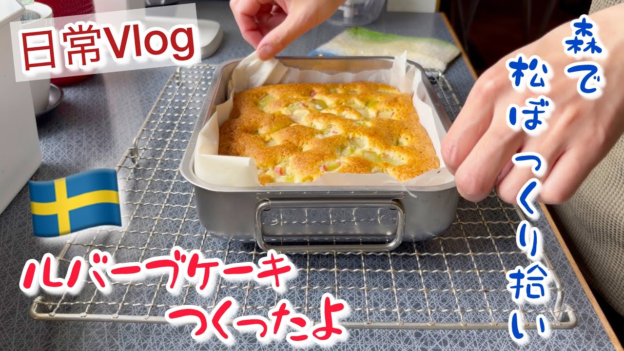 ルバーブケーキと松ぼっくり拾い/スウェーデン北部在住の週末