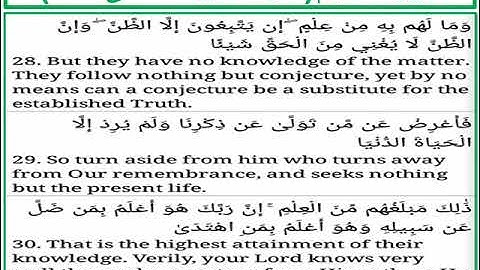 سورة النجم الايات من 28 الى 30