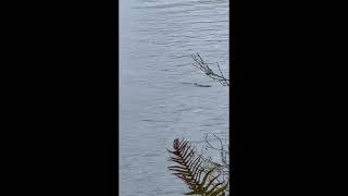December's King Tides in Lincoln City, Oregon