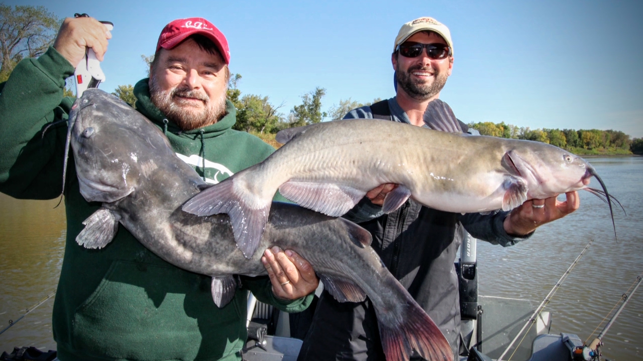 Modern Catfishing — Angling Edge TV YouTube