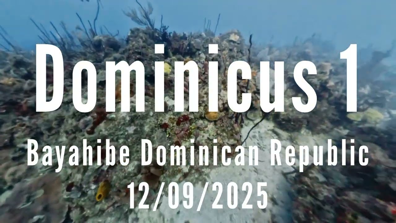 This isn’t just a dive — it’s an underwater adventure few people know about. Discover Dominicus 1