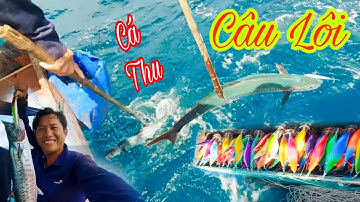 CÂU LÔI 1_Ngày Đầu Tiên  Lôi Cá Thu Kết Hợp Lôi Mực_ĐỘC ĐÁO Cái Kèn Báo Hiệu Cá Cắn Câu