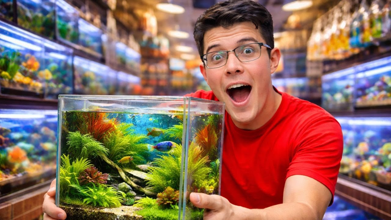 Arme un HABITAD para peces en el MERCADO DE PECES