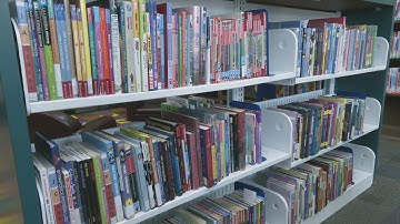 Rockford Public Library fighting 