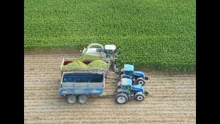 Chopping Corn Silage near Russia Ohio   September 2019