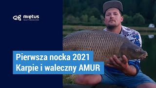 Wędka Anaconda Magist 50 - 3,60m 3,00lb video