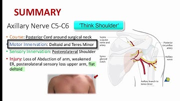 12DaysinMarch, Brachial Plexus Part II for the USMLE Step One Exam