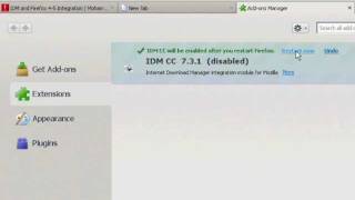 how to integrate idm extension in firefox 4 or 5