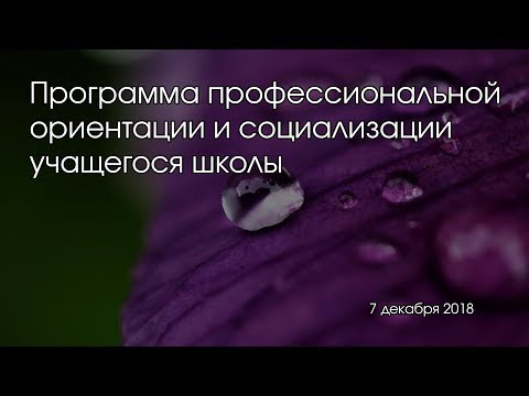 Программа профессиональной ориентации и социализации учащегося школы