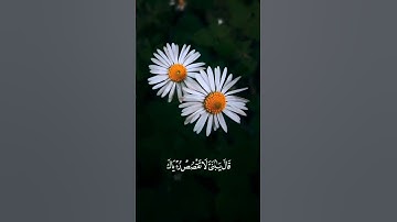 ما تيسر من سورة يوسف بصوت القارئ عبدالباسط عبدالصمد رحمه الله🤍🥺