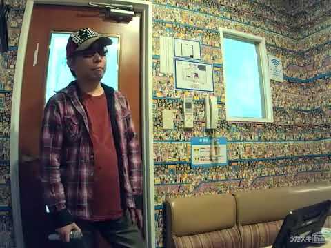 水樹奈々／WILD EYES【歌ってみた】【うたスキ動画】