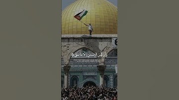 القرآن الكريم🤍🎧🇵🇸☝️ #اكسبلور #الجزائر #السعودية #المغرب #duet #القرآن_الكريم #دويتو #fyp #viral