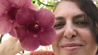 Video Travelogue of a Trip to Rome and Naples / Summer 2024