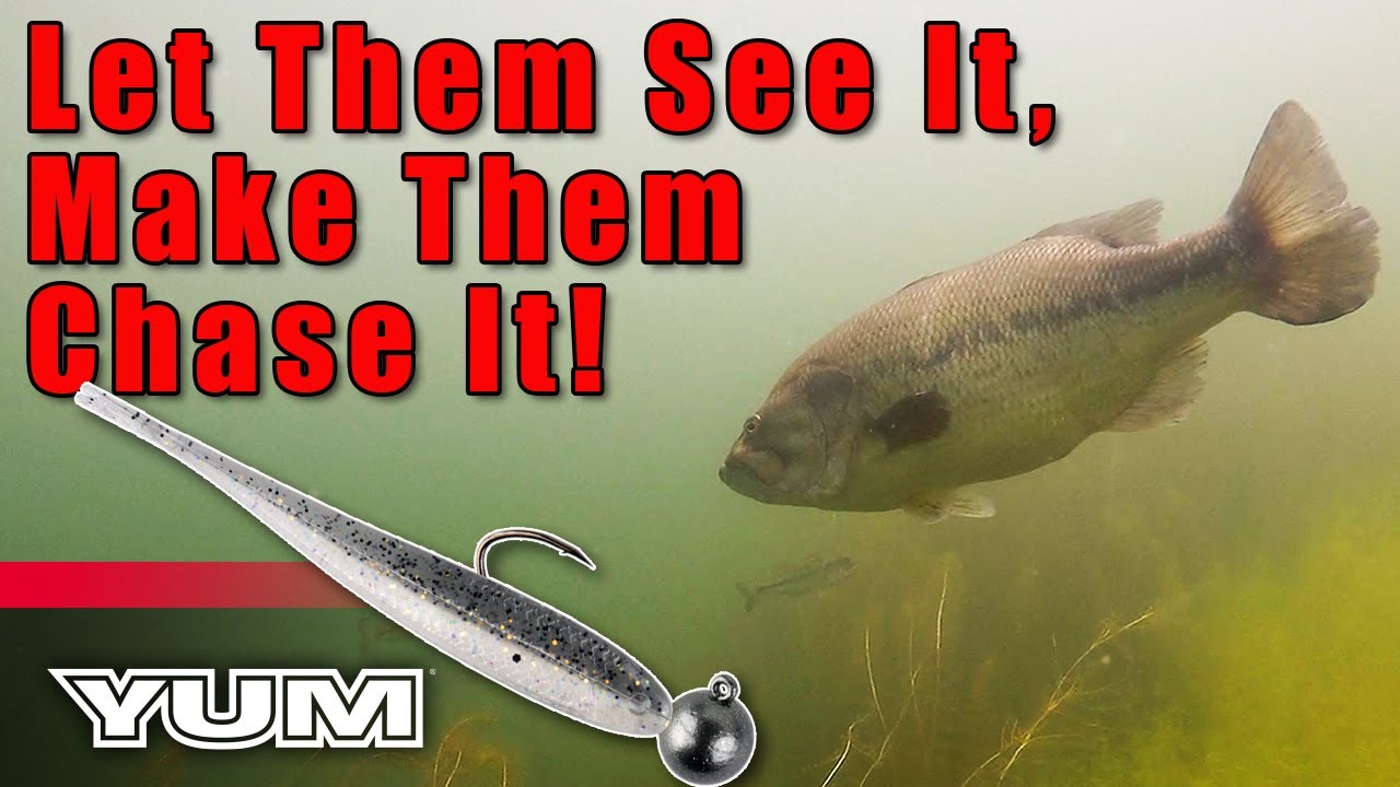 Keep the Bait Above the Fish - YUM FF Sonar Minnow Fishing Tactics