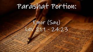 Parshat Portion 31: Emor