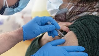 Download Lagu Covid-19, immunità di gregge, lo studio dell'Università di Innsbruck MP3