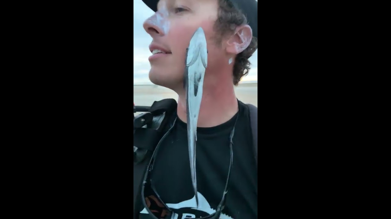 This Fish Can Stick To Anything Shorts