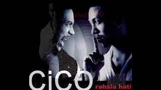 cico _ potret (2005)