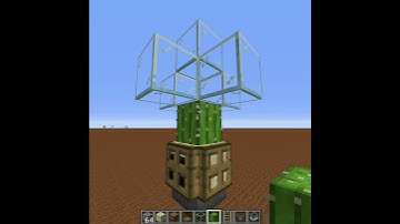 Minecraft Auto Cactus Farm Tutorial #SHORTS