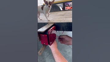 Finishing Up the Trailer Rewire