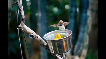 Photography basics: shutter-speed, aperture, and ISO