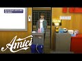 Amici 23 - Holden e il provvedimento disciplinare