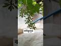 বাইকুনুর আগুর #আগুর #বাংলাদেশ #ভাইরাল_ভিডিও