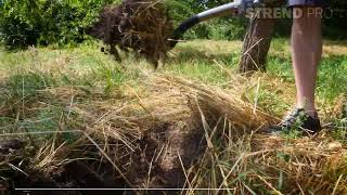 2110431,2110432,2110433,2110434,2110435,2110436 - Spaten Strend Pro Premium Redshark