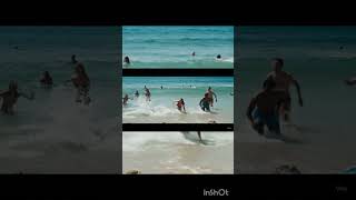 Köpek Baliğinin Korkudan Bayildiği An