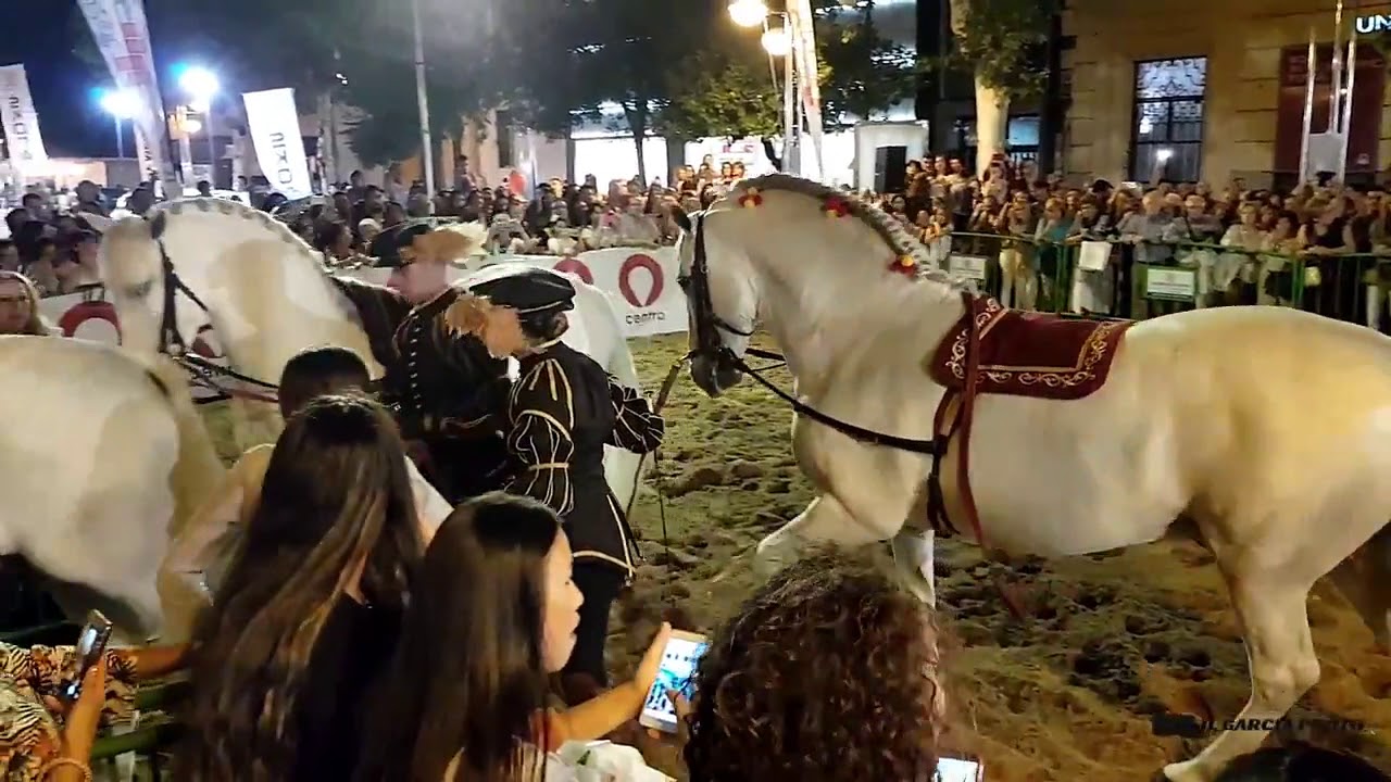 CORDOBA ECUESTRE EN LA SHOPPING NIGHT CORDOBA 2018