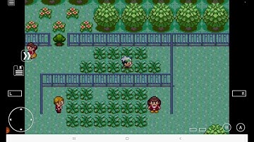 Pokèmon Emerald Wild Pokemon Modifier Cheat (Shoutout to supercheats.com)