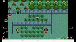 Pokèmon Emerald Wild Pokemon Modifier Cheat (Shoutout to supercheats.com)