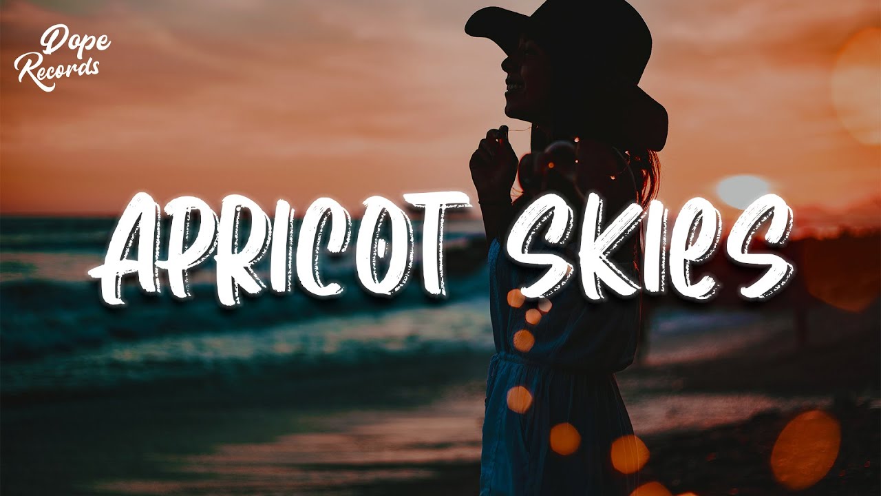 Nova Miller & Bankrol Hayden Apricot skies (Lyrics) YouTube