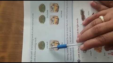 Class 1- English grammar - Ch. 4 - One and more than one