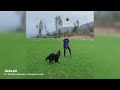 BEST FOOTBALL VINES 2024 - FAILS, SKILLS & GOALS #4