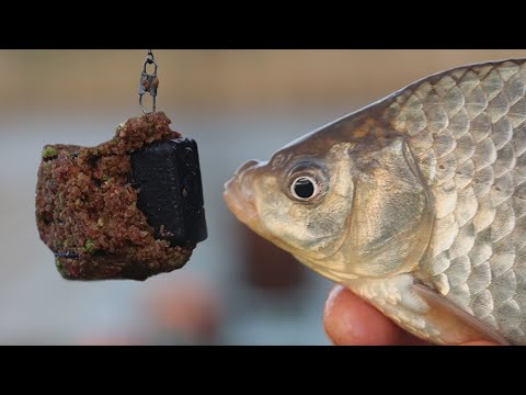 Самая вкусная рыба