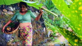 Making A Hal Guti Hal Food Cooking Village Mother