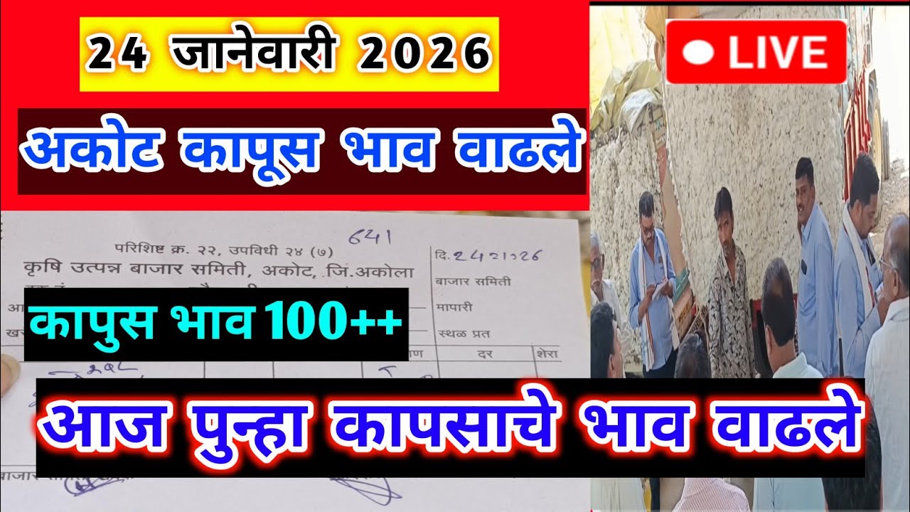 🔴24 जानेवारी 2026।अकोट कापूस भाव वाढले| Kapus bajar bhav।Kapus Bhav Today|कापूस बाजार भाव आजचे|8500|
