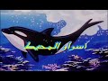شارة أسرار المحيط بجودة عالية